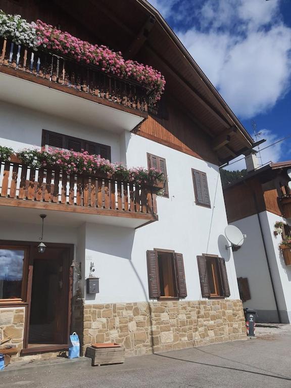 Casa Phoenix Appartamento Piano Terra Immerso Nel Verde A Pochi Minuti Dalla Ciclabile П'єве-ді-Кадоре Екстер'єр фото