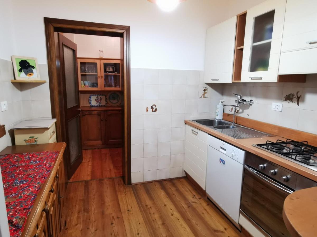 Casa Phoenix Appartamento Piano Terra Immerso Nel Verde A Pochi Minuti Dalla Ciclabile П'єве-ді-Кадоре Екстер'єр фото