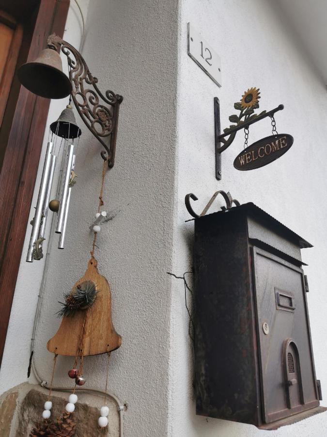 Casa Phoenix Appartamento Piano Terra Immerso Nel Verde A Pochi Minuti Dalla Ciclabile П'єве-ді-Кадоре Екстер'єр фото
